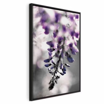 Violet ringtones vertical – svart ram. Hängande violetta blommor framträder mot en mjukt suddig grågrön bakgrund.