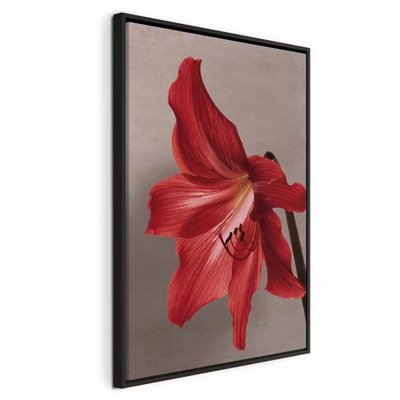 Red flower vertical – svart ram. En stor röd blomma med tydliga kronbladsveck och mörka ståndare framträder mot gråbeige.