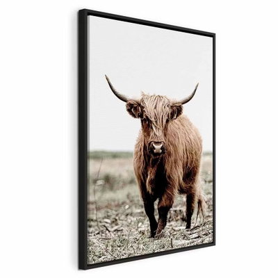 Young stag vertical – svart ram. Ett brunt, långhårigt nötkreatur med långa horn står i ett fält under en ljus himmel.