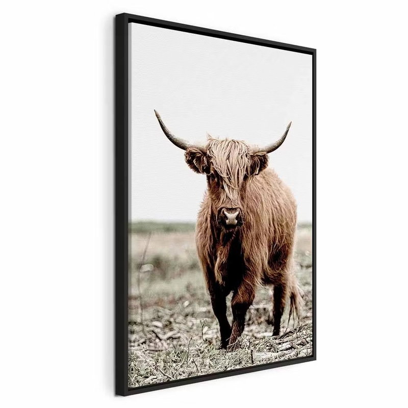 Young stag vertical – svart ram. Ett brunt, långhårigt nötkreatur med långa horn står i ett fält under en ljus himmel.