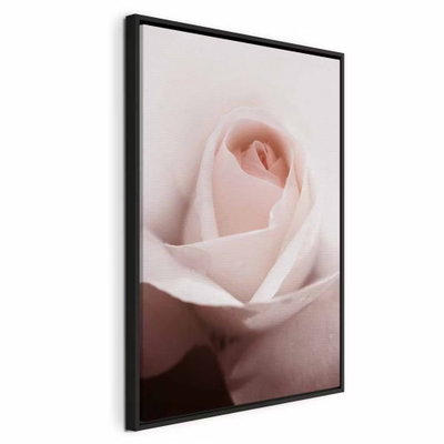 Level of feelings vertical – svart ram. Mjukt veckade, blekt rosa kronblad fyller bilden kring rosens rundade mitt.