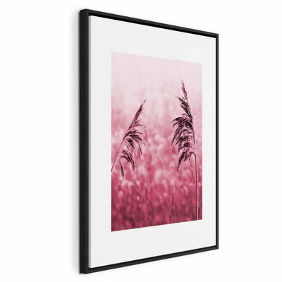 Ruby stalk vertical – svart ram. Mörkrosa gräsax framträder mot en mjukt suddig rosa bakgrund.