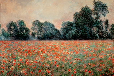 Claude monet field with wild – motivvy. Ett stort fält med små röda blommor breder ut sig framför en mörkgrön trädridå under en ljus himmel.