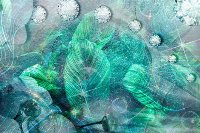 Turquoise leaves wide – motivvy. Täta gröna och turkosa blad täcks av runda vattendroppar mot en mjukt suddig bakgrund.