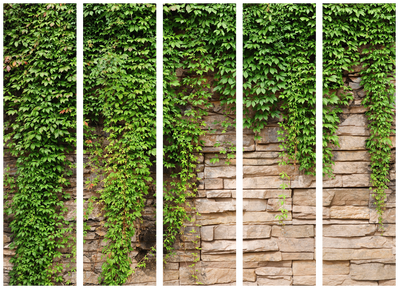 5-delad ljuddämpande rumsavdelare – Ivy wall – produktbild från leverantören