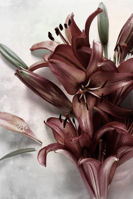 Floral form vertical – motivvy. Djupt vinröda liljor och smala gröna blad återges mot en ljus, gråmarmorerad bakgrund.