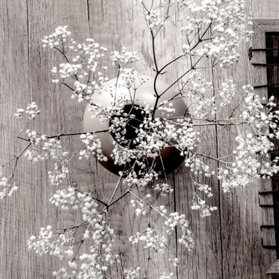 Dried flowers square – motivvy. Skira vita blommor och mörka, hjärtformade detaljer framträder mot en gråbrun, lodrätt träliknande bakgrund.