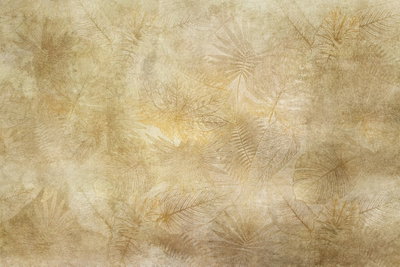 Vintage leaves wide – motivvy. Tunna bladformer i blekt guld och beige bildar ett lågmält mönster mot en ljus botten.