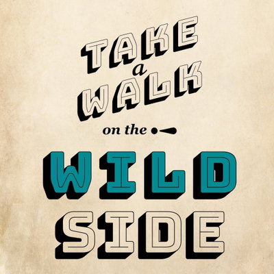 Take walk on the wild side – motivvy. Svarta och vita bokstäver bildar ett citat på beige botten, med ordet WILD markerat i turkost.