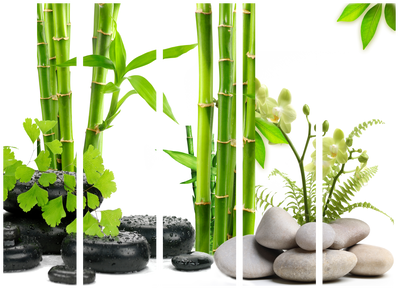 5-delad ljuddämpande rumsavdelare – Bamboos and – produktbild från leverantören