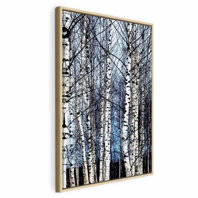 Frosty january vertical – naturfärgad ram. Täta, vita björkstammar med mörka barkspår sträcker sig uppåt mot en kall blåvit himmel.