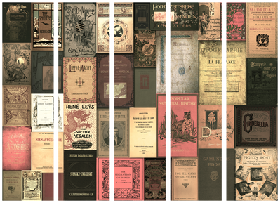 5-delad ljuddämpande rumsavdelare – Books of – produktbild från leverantören