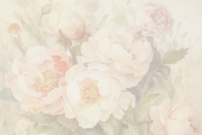 Peonies in the mist – motivvy. Ljusa pioner i crème och blekt rosa ligger tätt mot en mjukt grågrön bakgrund.