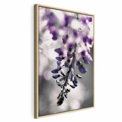 Violet ringtones vertical – naturfärgad ram. Hängande violetta blommor framträder mot en mjukt suddig grågrön bakgrund.