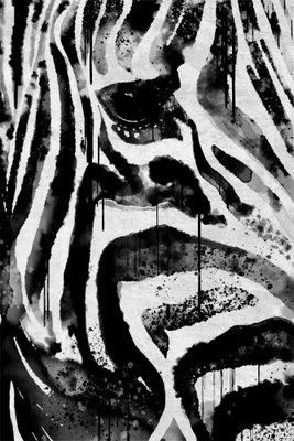 Striped nature vertical – motivvy. En zebras öga och svartvita ansiktsränder fyller bildytan i en tät närbild.