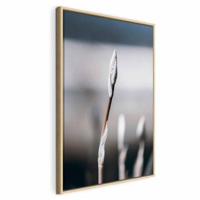 Botanical minimalism – naturfärgad ram. Ett ljust, smalt gräsax står i fokus framför andra oskarpa ax och en mjukt gråblå bakgrund.