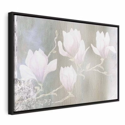 White magnolias wide – svart ram. Vita och blekt rosa magnoliablommor ligger mot en mjukt grågrön bakgrund.