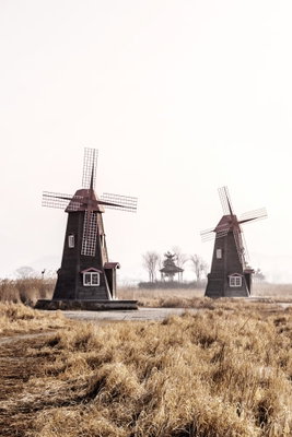 Wooden windmill vertical – motivvy. Flera väderkvarnar står i ett torrt gräslandskap under en blek himmel.