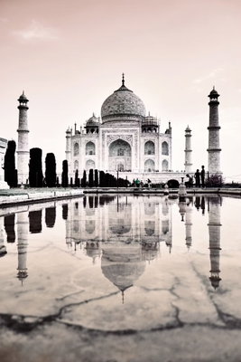 Taj mahal vertical – motivvy. Den ljusa byggnaden och dess minareter speglas i vatten under en blekt rosa himmel.