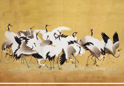 Japanese cranes a flock of – motivvy. En flock långbenta svartvita fåglar med röda detaljer samlas mot en varmt guldfärgad bakgrund.