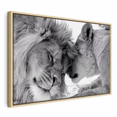Lion and s love – naturfärgad ram. Två lejon lutar sina huvuden mot varandra i en tät svartvit närbild.