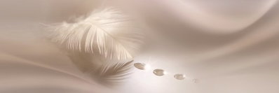 Delicate feather – motivvy. En liten ljus fjäder och några runda detaljer ligger över böljande, varmt beige skuggor i ett smalt panorama.