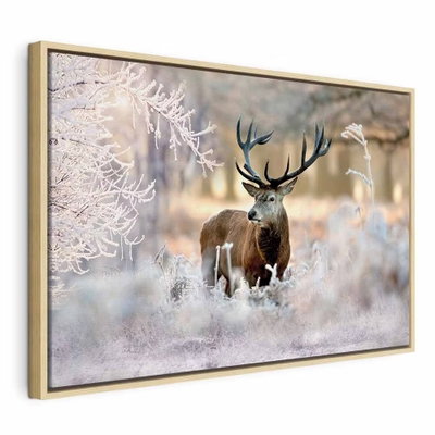 Deer in the cold – naturfärgad ram. En brun hjort med stor hornkrona står bland vita, frosttäckta grenar i ett ljust vinterlandskap.