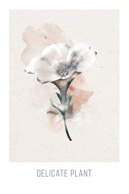 Delicate plant vertical – motivvy. En liten vit blomma med grön stjälk ligger över blekt rosa akvarellskikt och en bred ljus marginal.