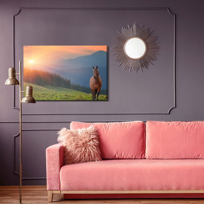 Ljuddämpande tavla - Horse on the background