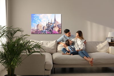 Ljuddämpande tavla - Notre dame cathedral among