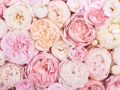 Ljuddämpande tavla - Blooming flowers in pastel