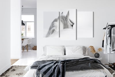 Ljuddämpande tavla - Andalusian horse in the fog