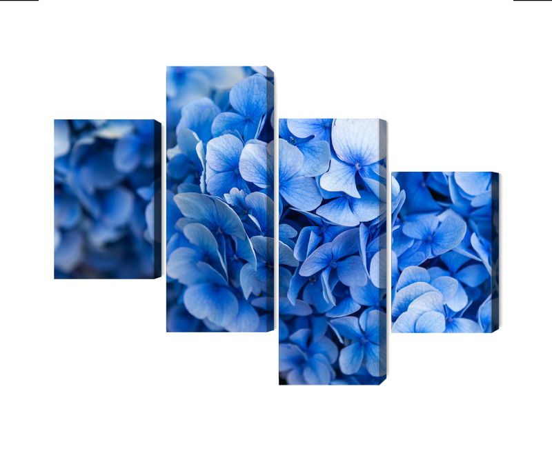 Ljuddämpande tavla - Blue hydrangea flowers close