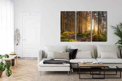 Ljuddämpande tavla - Sunset in the forest