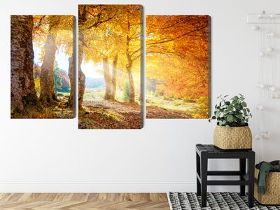 Ljuddämpande tavla - Sunny autumn forest