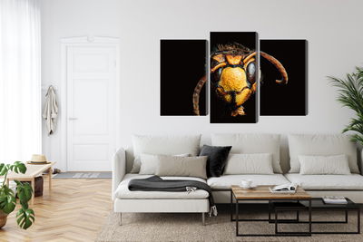 Ljuddämpande tavla - Hornet on a macro scale