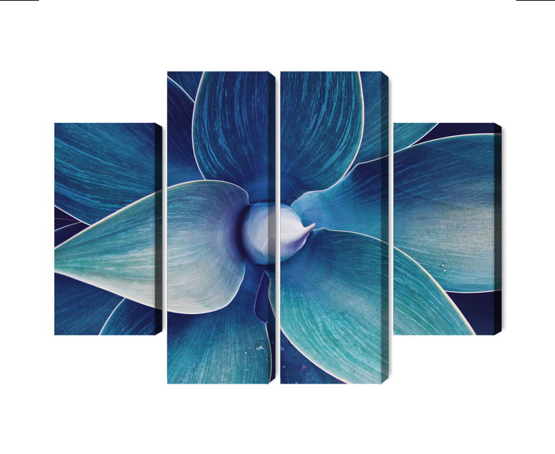 Ljuddämpande tavla - Top view of the plant