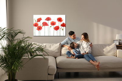 Ljuddämpande tavla - Red poppies in an abstract