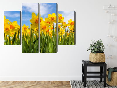 Ljuddämpande tavla - Daffodil field 3d