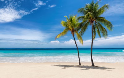 Ljuddämpande tavla - Caribbean beach 3d