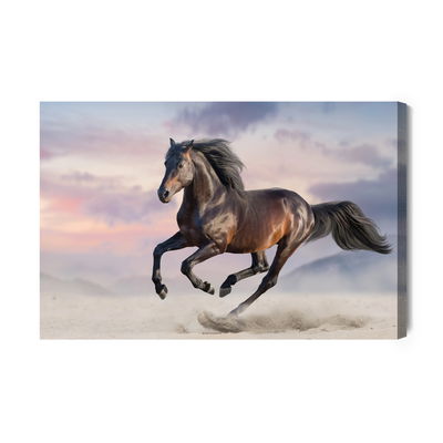 Ljuddämpande tavla - Horse at a gallop