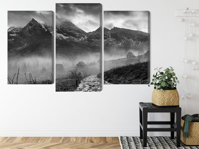 Ljuddämpande tavla - Hala gasienicowa in black