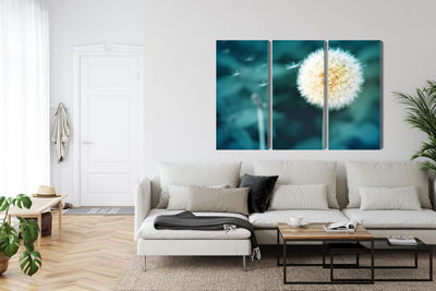 Ljuddämpande tavla - Dandelion flower close up 3d