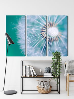 Ljuddämpande tavla - Dandelion on a macro scale