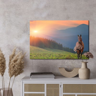 Ljuddämpande tavla - Horse on the background