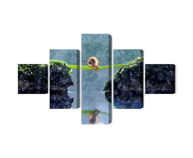 Ljuddämpande tavla - Snail in the rain