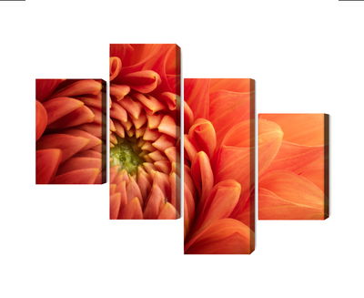 Ljuddämpande tavla - Orange chrysanthemum