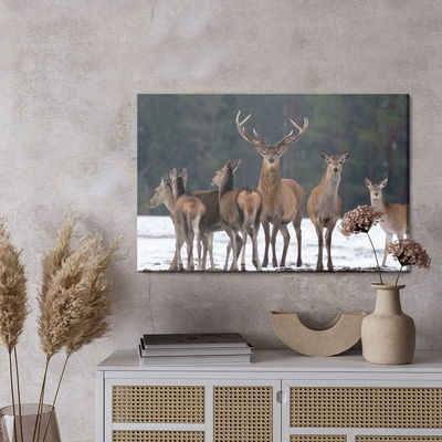 Ljuddämpande tavla - A deer and a doe