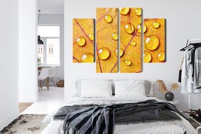 Ljuddämpande tavla - Water drops on an autumn