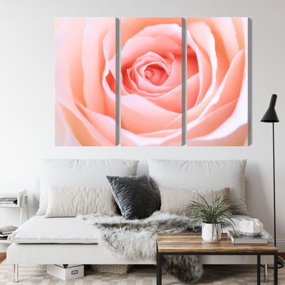 Ljuddämpande tavla - Pastel rose on a 3d macro